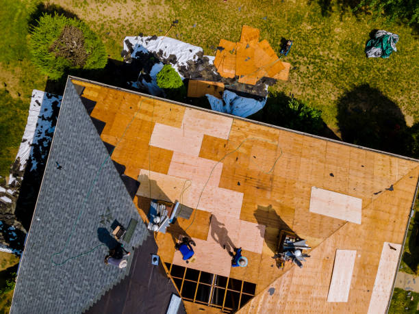 Best Commercial Roofing Services  in San Leon, TX
